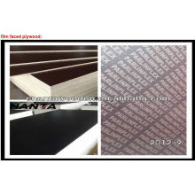 1220X2440 WBP melamine poplar brown black red laminated plywood